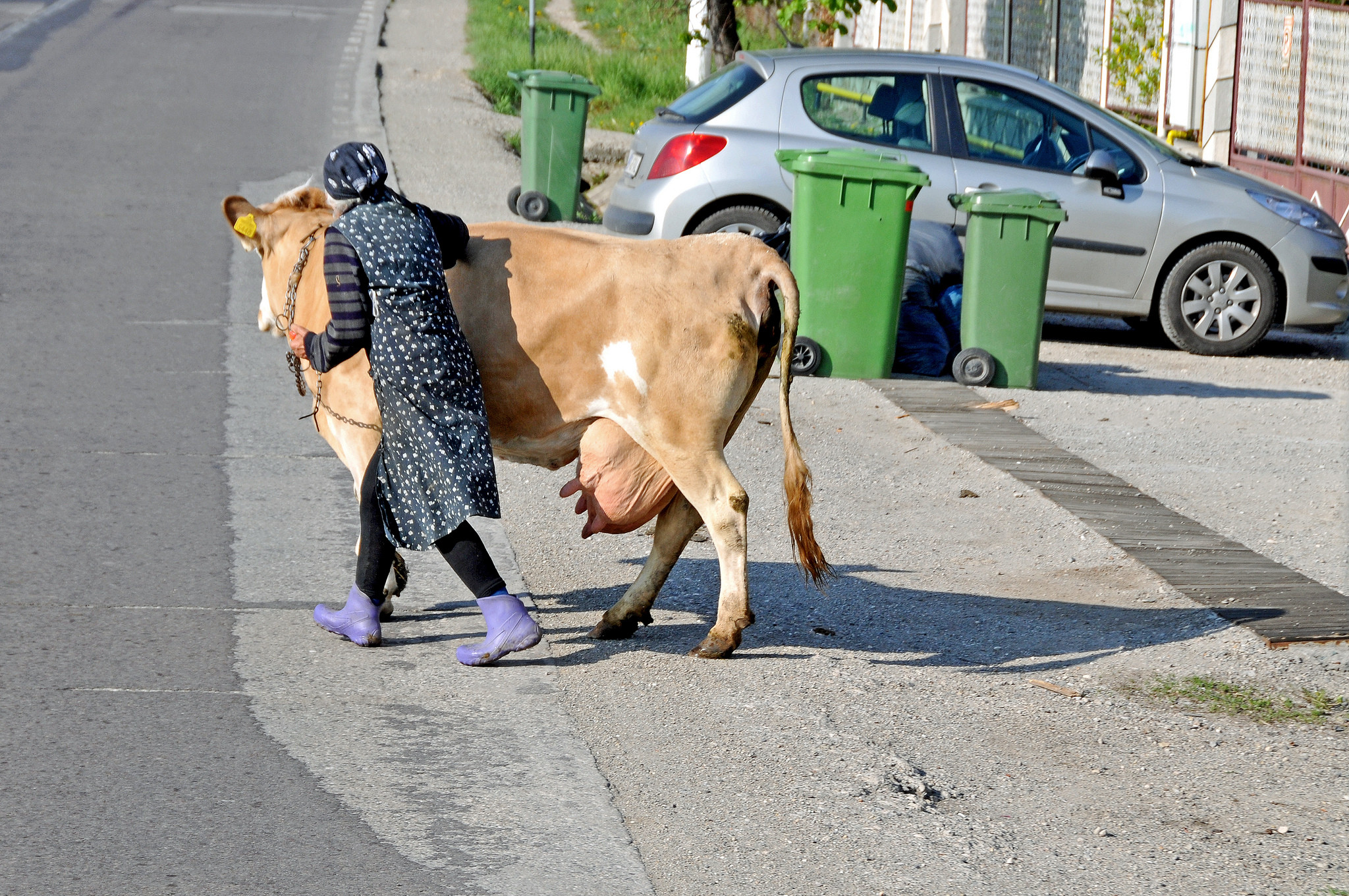 Een vrouw in de Roemeense plaats Brasov steekt de weg over. – ©  Dennis Jarvis / Flickr
