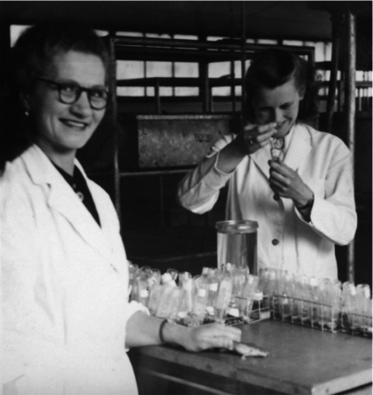 Audrey Peattie (rechts) aan het werk in het ziekenhuis van Watford. In de jaren vijftig had zij het glibberige taakje uit kikkers los te krijgen of een vrouw al dan niet zwanger was.