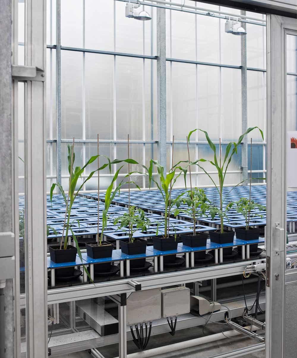 KeyGene, een Wagenings moleculaire geneticabedrijf dat zich bezighoudt met gewasverbetering. – © Patrick Post
