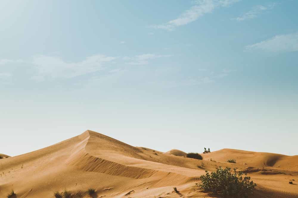 © Oskars Sylwani, Unsplash
