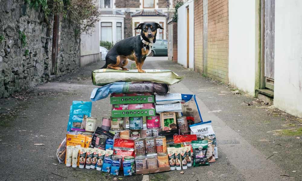 De levensmiddelenvoorraad van Charlie, de hond van Helena, is goed voor een heel jaar. – © Gareth Phillips
