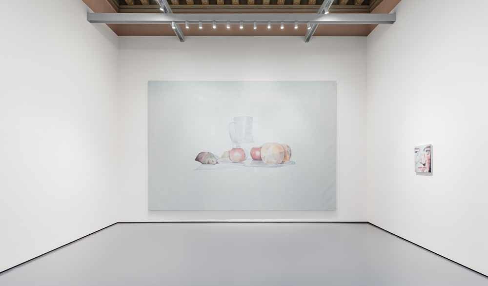 Luc Tuymans, Still Life, 2002 in Palazzo Grassi, Venetië © Delfino Sisto Legnani en Marco Cappelletti.