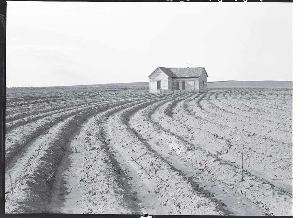 Boeren in de regio werden overgehaald om gewassen af te wisselen en nieuwe landbouwwerktuigen en technieken te gebruiken. Texas, 1938. – © Dorothea Lange.