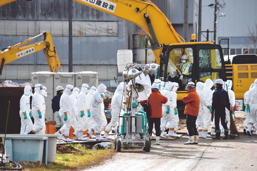 Varkens worden geruimd nabij de Japanse stad Toyota. Sinds vorig jaar augustus zijn al miljoenen varkens geruimd. – © The Aahi Shimbun / Getty Images