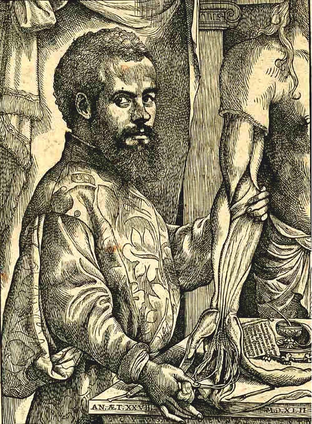 Andreas Vesalius. – © Wikipedia