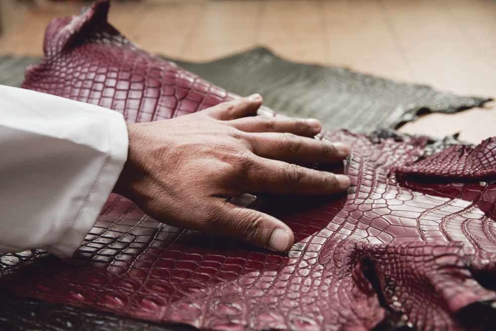 crocodile hand images