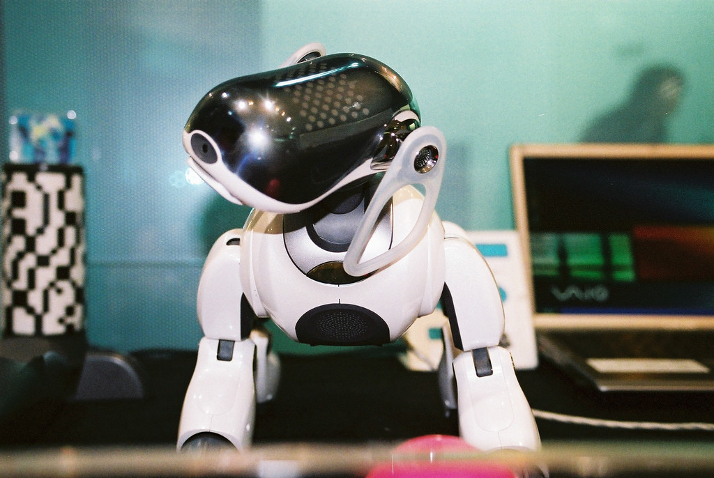 De Japanse Aibo-robot gold in 1999 als zeer vernieuwend. © Kate Nevens/Flickr Creative Commons