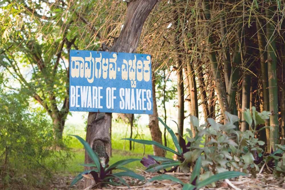 Een waarschuwingsbord aan de oever van het Karanji-meer nabij Mysore. Jaarlijks worden er zo’n 2,8 miljoen Indiërs gebeten door een slang. – © Ajith Sivasankaran / Alamy Stock