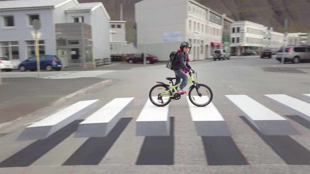 zebra1 0001