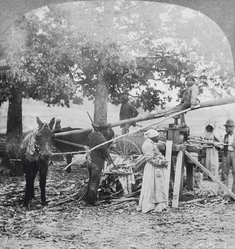 Tot slaaf gemaakte mannen en vrouwen malen suiker met de hulp van muildieren en een simpele machine op een boerderij in Georgia in het midden van de negentiende eeuw. © L.J. Schira / Hulton Archive / Getty