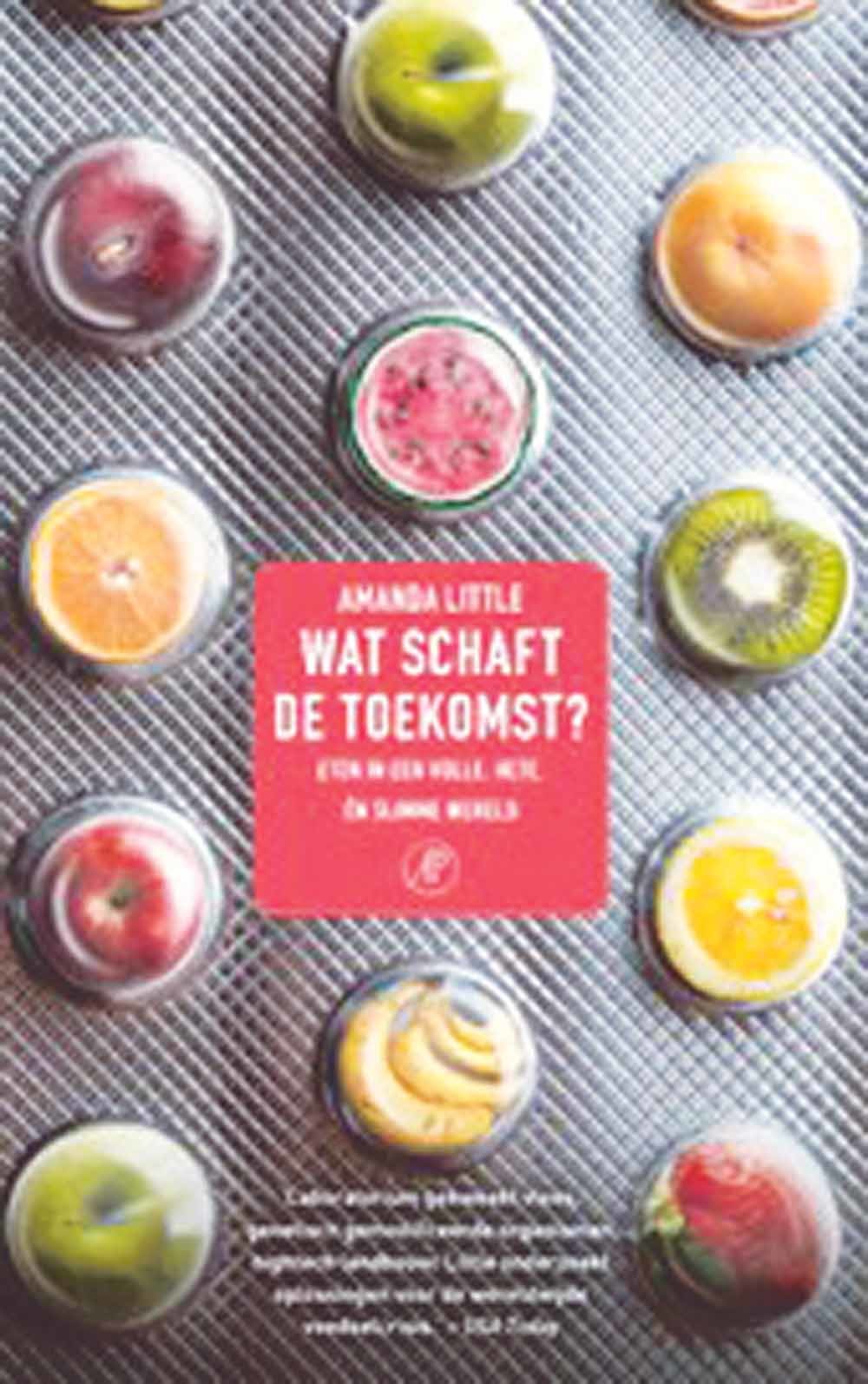 wat schaft de toekomst