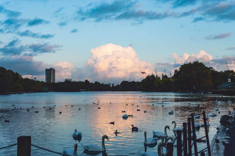 Woodberry-wetlands – © Unsplash