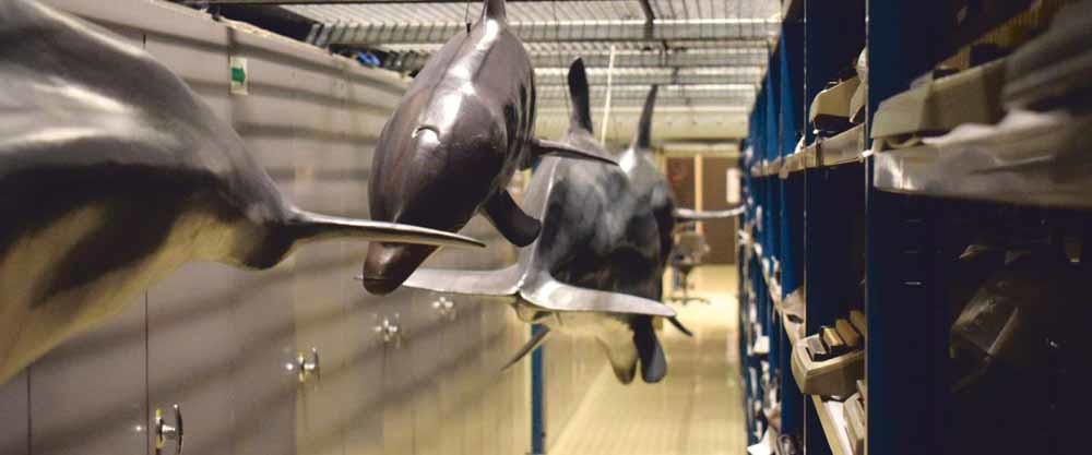 hoofdfoto website verlaten museum res