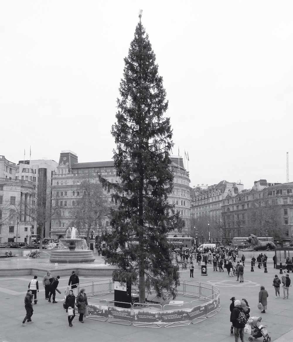 Trafalgar Square, december 2016.