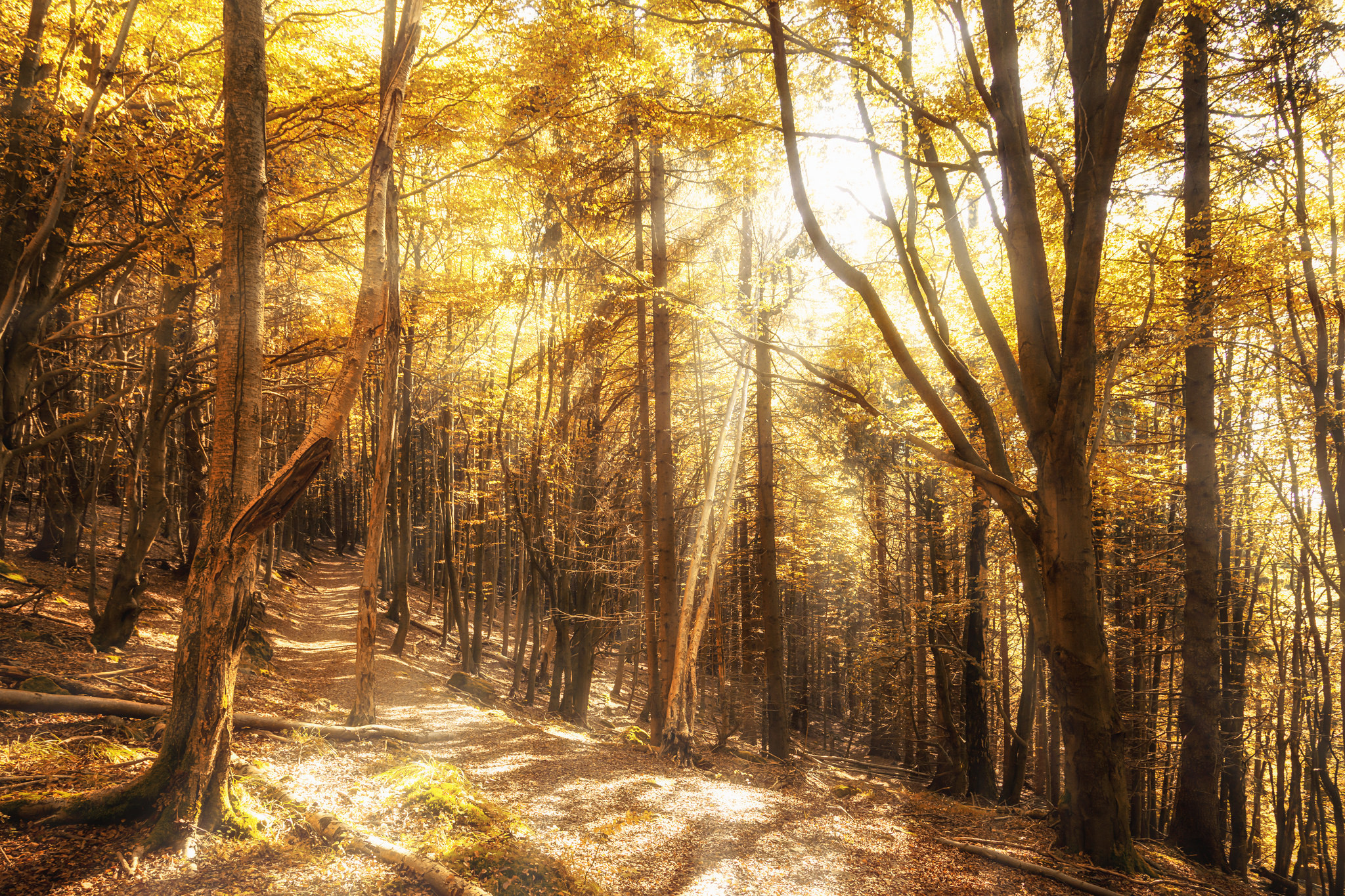 – © Olli Henze / Flickr Creative Commons