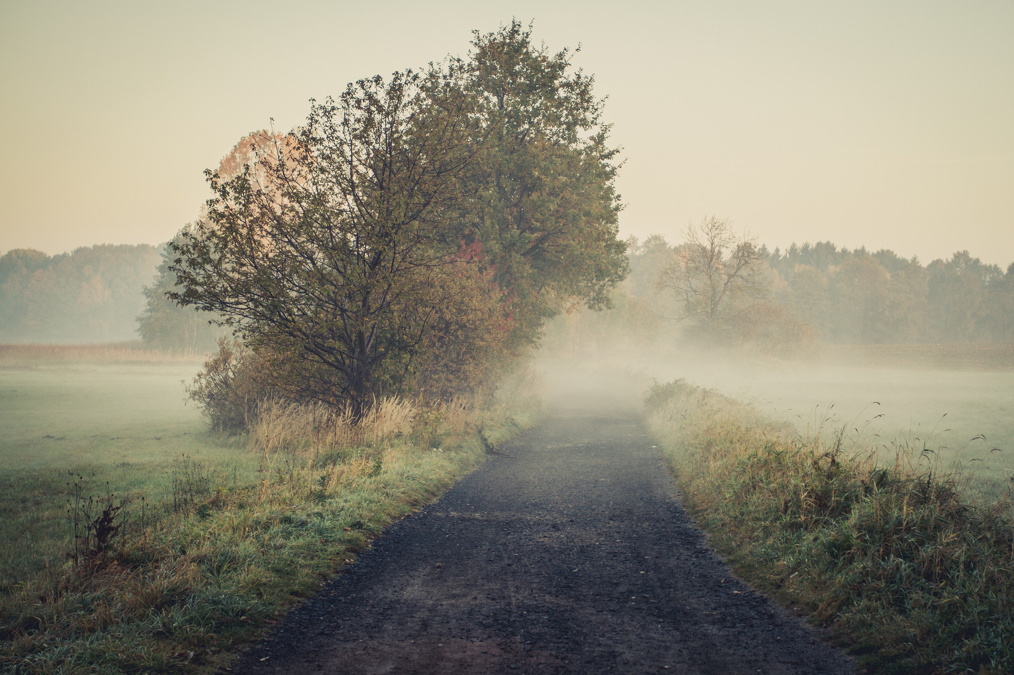 Ochtendmist. – © Marcus Pink / Flickr Creative Commons