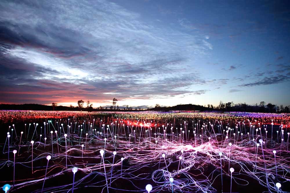 field of light uluru 1