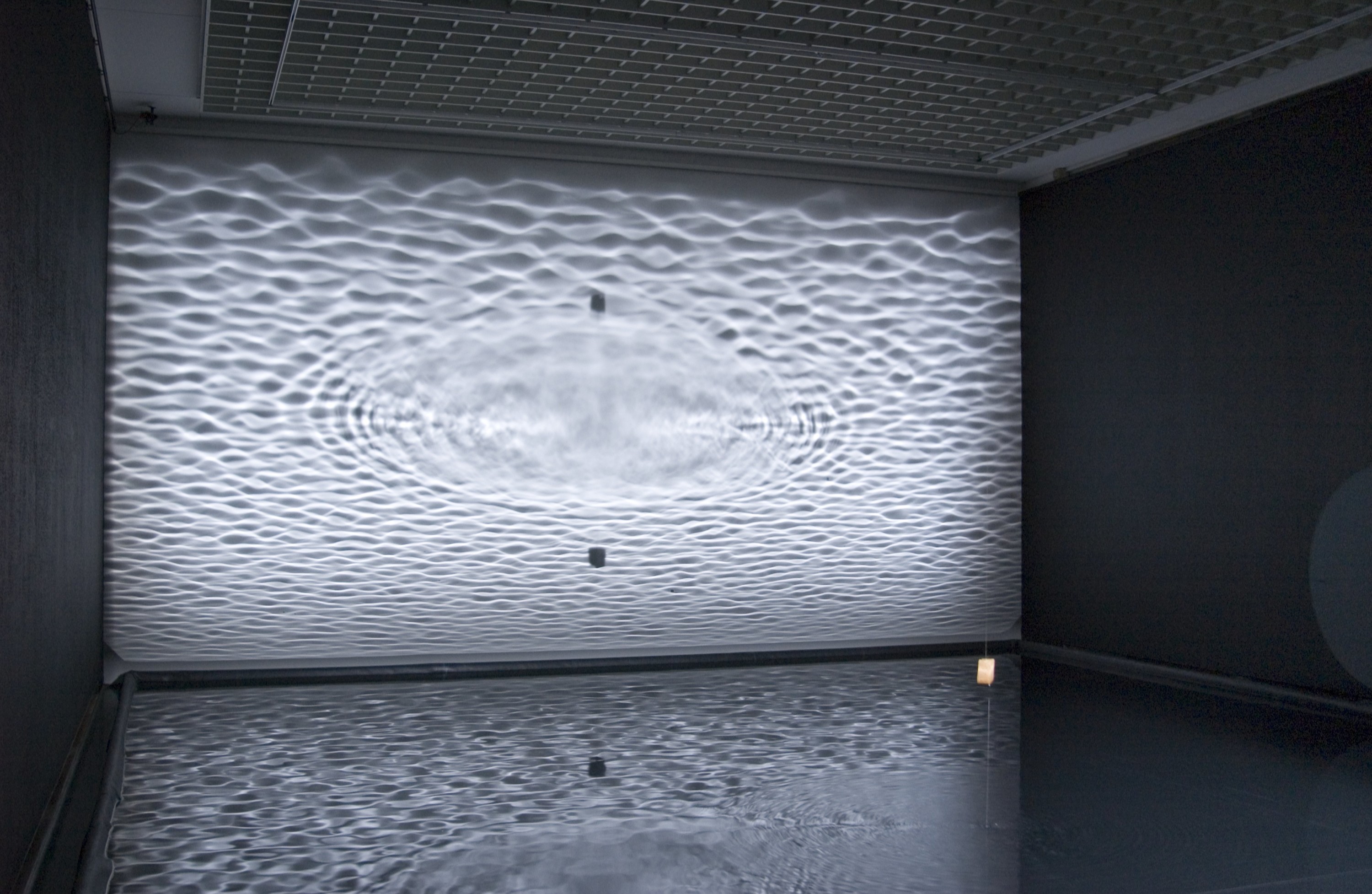 notionmotion1