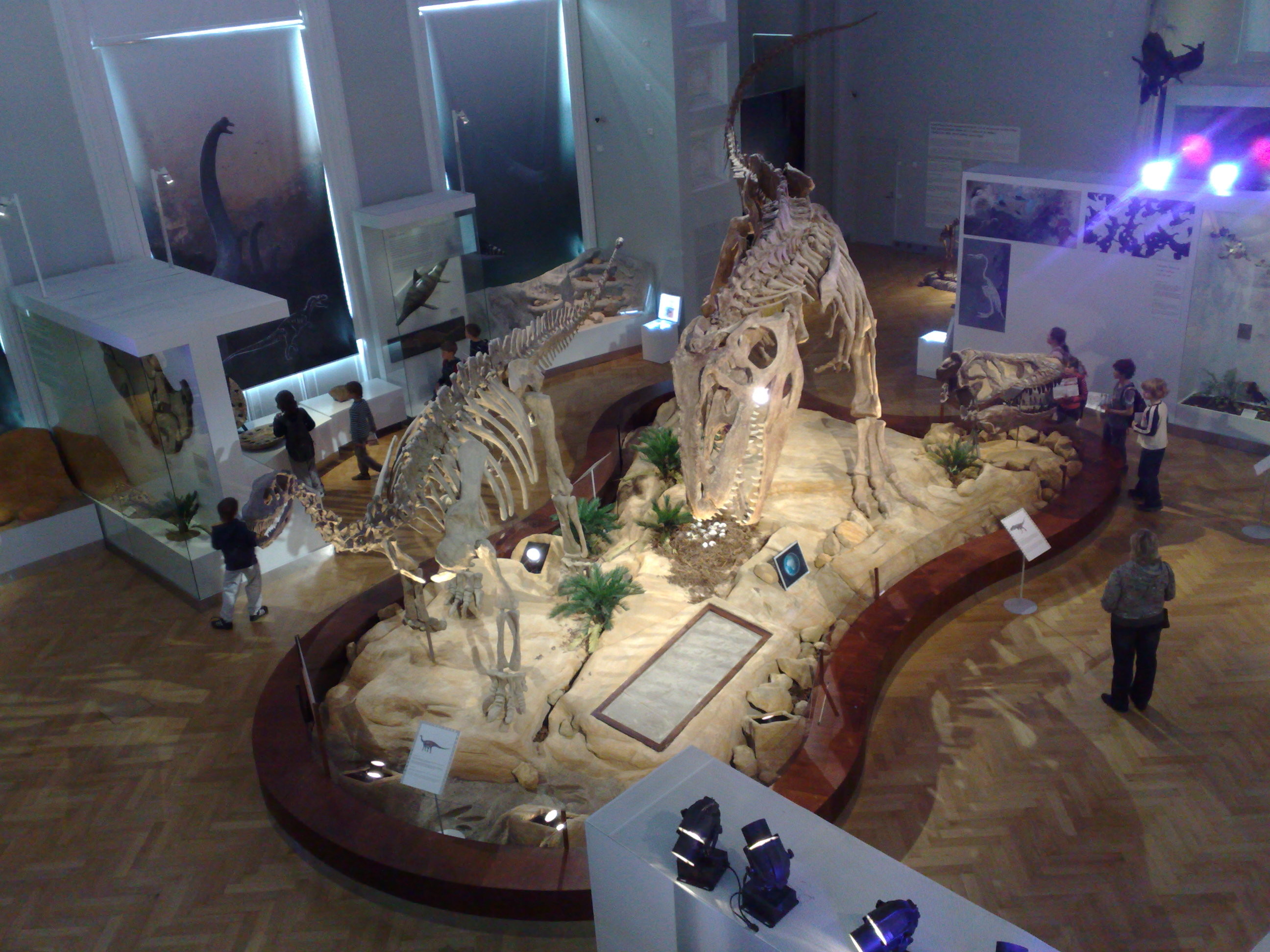 Het Natuurhistorisch Museum, Helsinki.