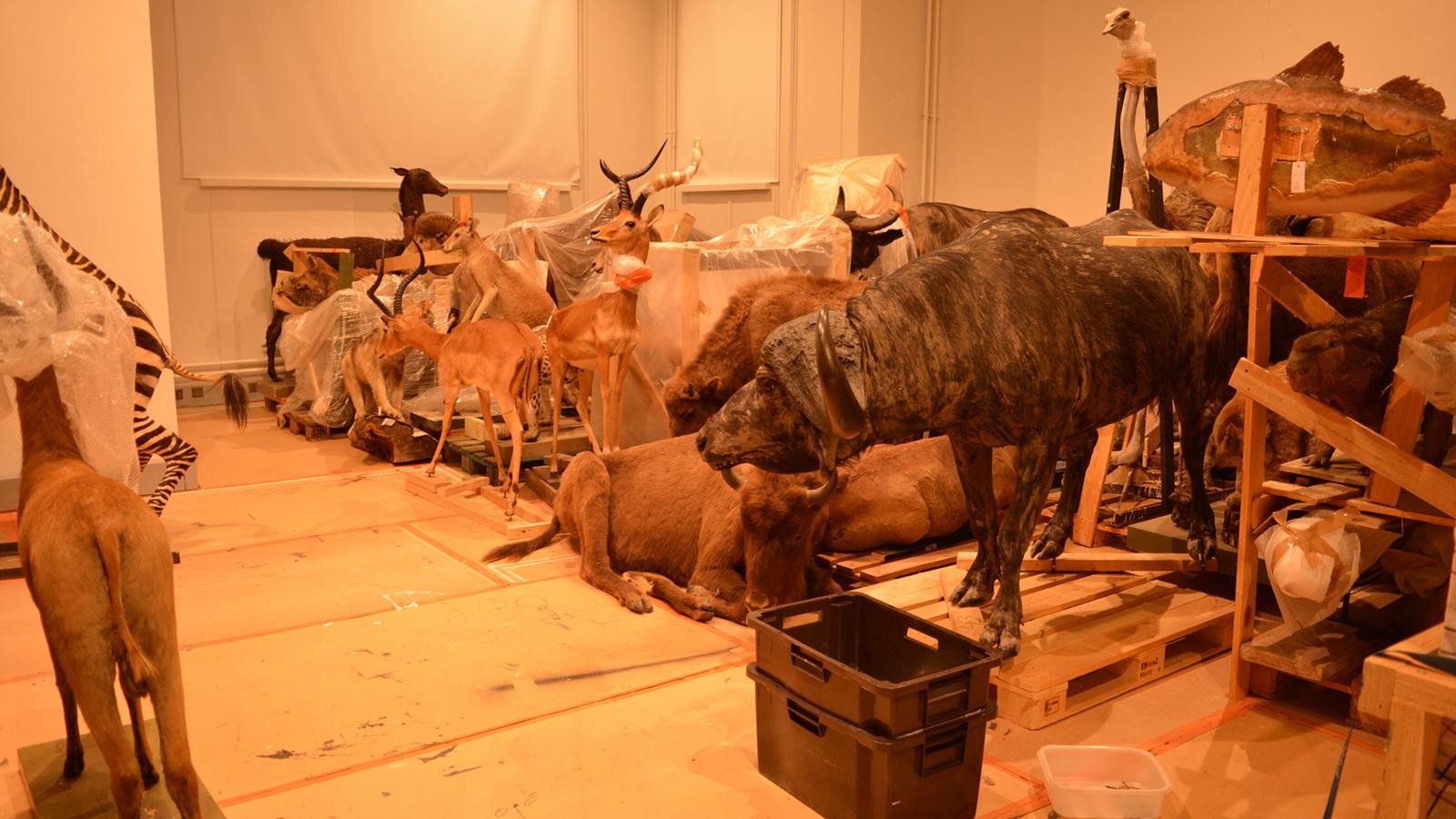museumhelsinki