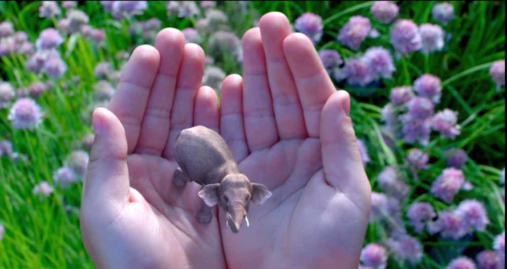 Weer eens wat anders dan Pokémon: een virtueel olifantje in je handpalm.